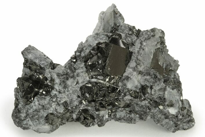 Lustrous Shungite In Host Rock - Colombia #237691
